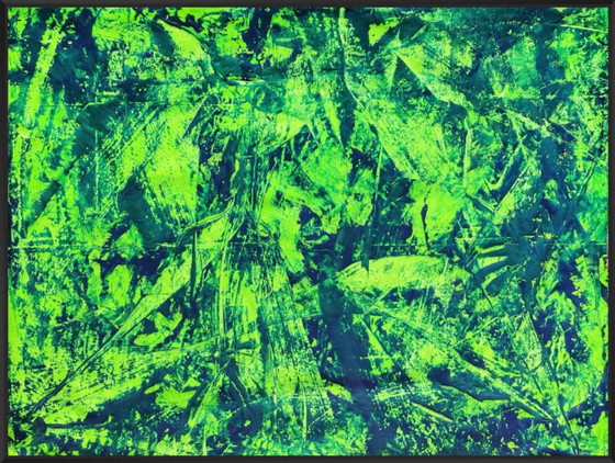 Image 1 of Jürgen Angeler - Jungle Sfeer