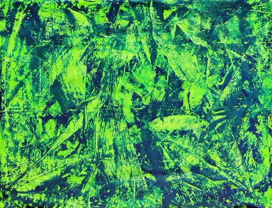 Image 1 of Jürgen Angeler - Jungle Sfeer