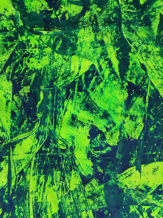 Image 1 of Jürgen Angeler - Jungle Sfeer