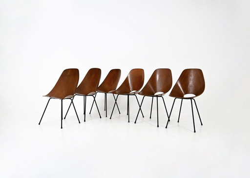 "Medea-stoelen van Vittorio Nobili voor Fratelli Tagliabue, 1950, set van 6