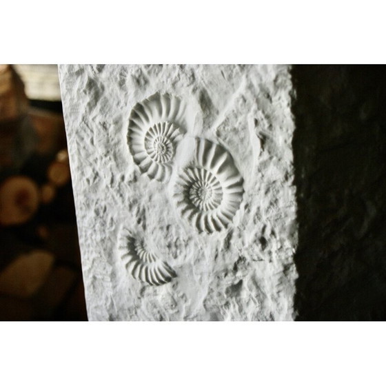 Image 1 of Vintage keramieken vaas van Kaiser, Duitsland 1960