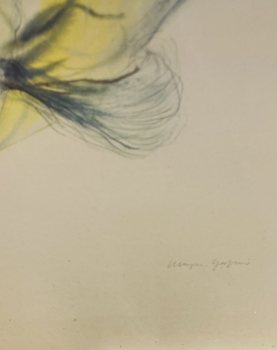 Image 1 of Klaus Meyer-Gasters - Vintage Aquarel Druk Vis - Met Lijst