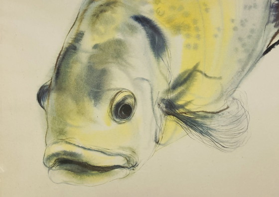 Image 1 of Klaus Meyer-Gasters - Vintage Aquarel Druk Vis - Met Lijst