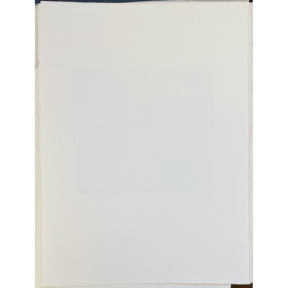 Image 1 of Oude gravure "Pegasus" door François-Xavier Lalanne, Frankrijk 2005