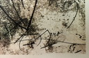 Authorized Original Colour Lithografie, Signed, High Quality, Getekend In De Plaat, Joan Miró.