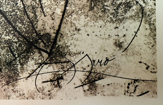 Image 1 of Authorized Original Colour Lithografie, Signed, High Quality, Getekend In De Plaat, Joan Miró.