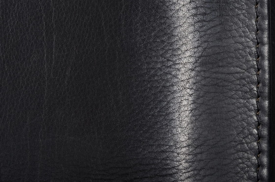 Image 1 of De Sede DS50 black neckleather