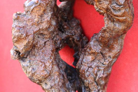 Image 1 of Franse vintage wijnstok houten sculpturale bar met een grote wijnstok wandplank-50S