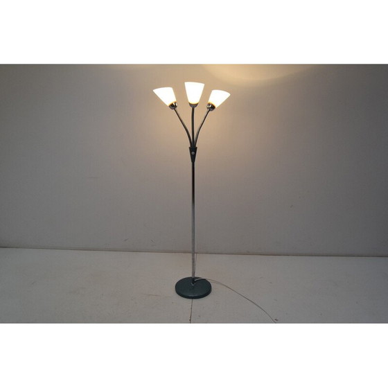 Image 1 of Vintage vloerlamp van glas, gelakt metaal en chroom, Tsjecho-Slowakije 1960