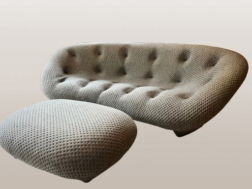 Ligne Roset E & B Ploum Canapé & Pouf