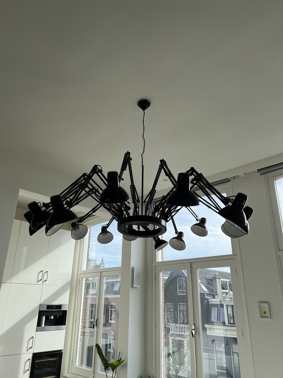 Image 1 of Beste Ingo Moooi Plafondlamp