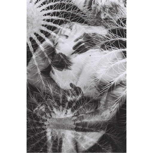 Vintage schilderij Natural Movements 12 door Meïdhy Bichon, 2019