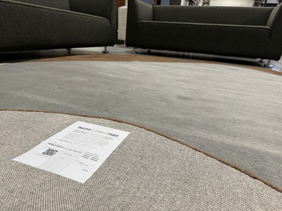 Image 1 of Brink En Campman Element Chad Brown 250 294