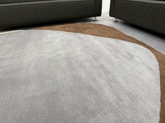 Image 1 of Brink En Campman Element Chad Brown 250 294