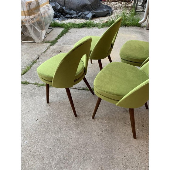 Image 1 of Set van 4 eetkamerstoelen uit de Mid Century van Antonín Šuman voor Tatra Nábytok, 1960