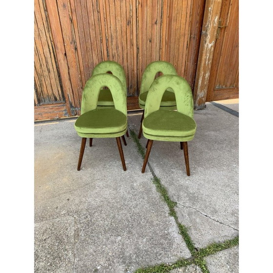 Image 1 of Set van 4 eetkamerstoelen uit de Mid Century van Antonín Šuman voor Tatra Nábytok, 1960