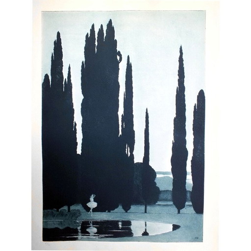 Aquatint gravure van vintage Zwanenmeer door Sir Claude Francis Barry, 1900