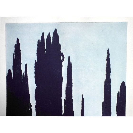 Image 1 of Aquatint gravure van vintage Zwanenmeer door Sir Claude Francis Barry, 1900