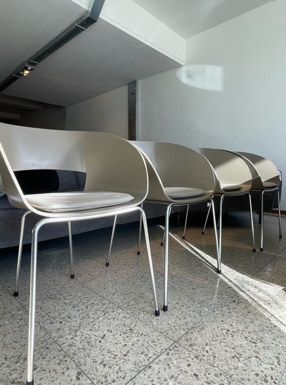 Image 1 of 4x Tribù Vintage chair