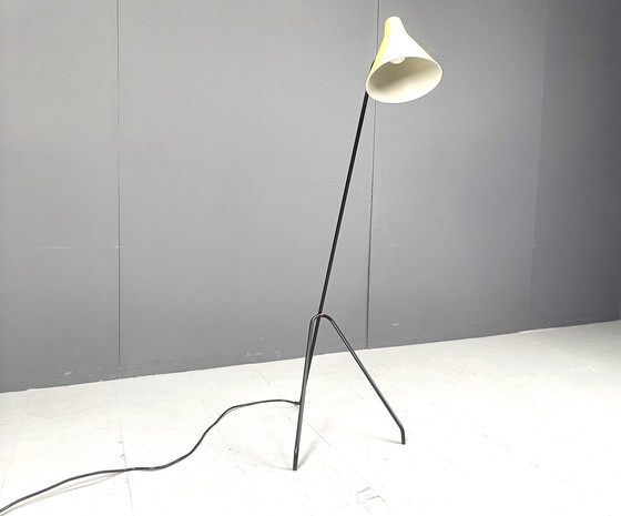 Image 1 of Sprinkhaan vloerlamp van Willem Van Doorn, 1960S