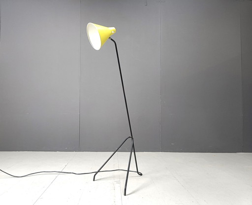 Sprinkhaan vloerlamp van Willem Van Doorn, 1960S