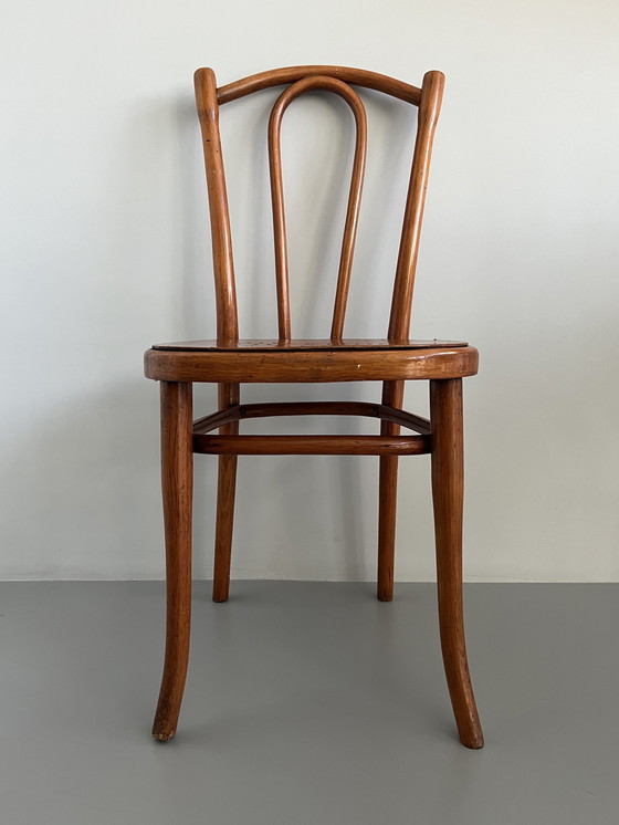 Image 1 of Thonet Vintage stoel model nr. 56