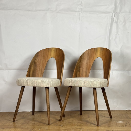 2X Tsjecho-Slowaakse Tatra Nabytok Stoelen Door Antonin Suman 1960S