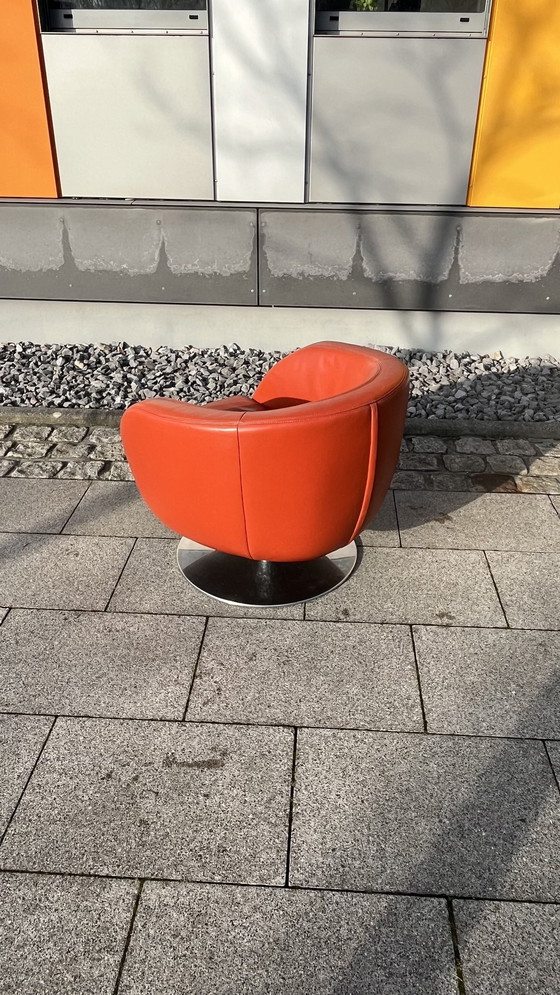 Image 1 of Koinor Design draaifauteuil Parelleder bordeaux-rood