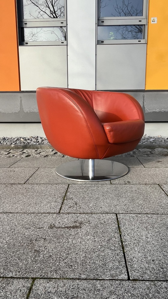 Image 1 of Koinor Design draaifauteuil Parelleder bordeaux-rood