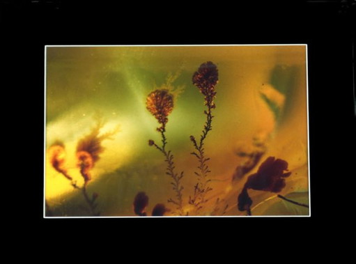 Vuurpaal - Vuurpaal – fotografie, Paper, Modern