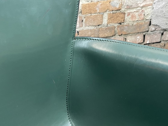 Image 1 of 6X Matteo Grassi Vela Groen