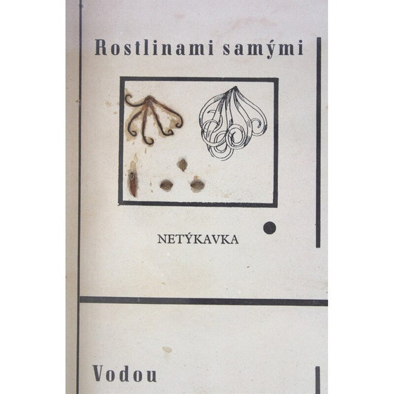 Image 1 of Vintage schoolkaart "Zaadjes verspreiden", Tsjecho-Slowakije 1960