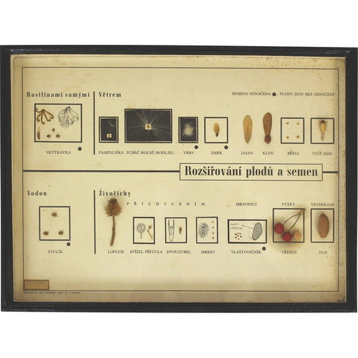 Vintage schoolkaart "Zaadjes verspreiden", Tsjecho-Slowakije 1960