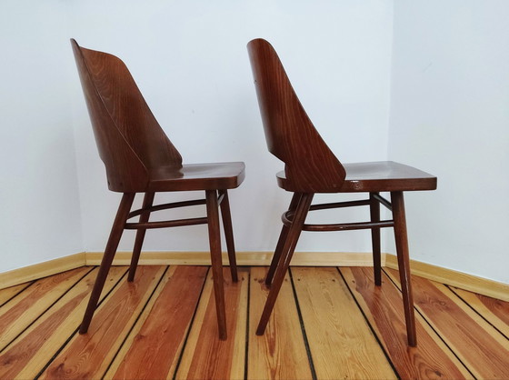 Image 1 of Tsjecho-Slowaakse stoelen van O. Haerdtl voor Ton, 1960S, set van 4