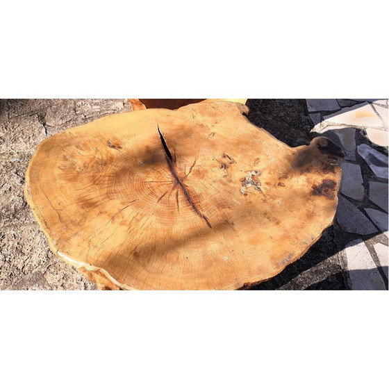 Image 1 of Vintage Brutalistische iepenhouten woonkamer set, 1950