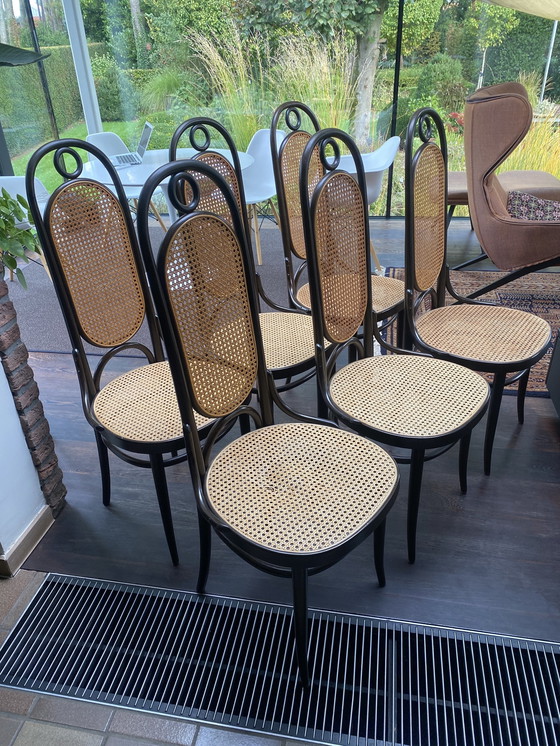 Image 1 of 6x Thonet stoel