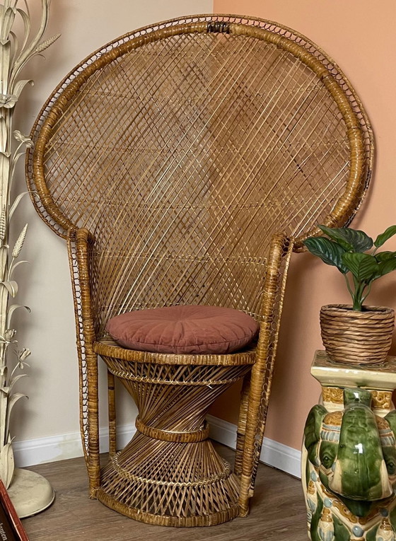 Image 1 of Vintage Pauwen Troon