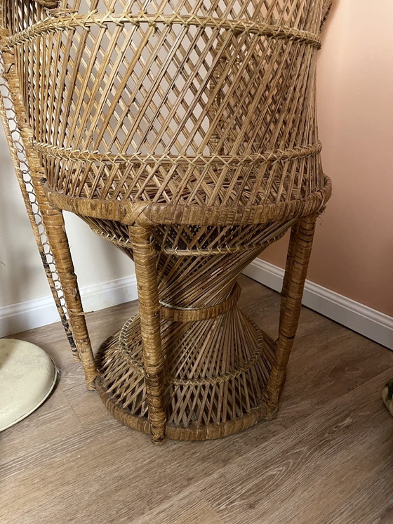 Image 1 of Vintage Pauwen Troon