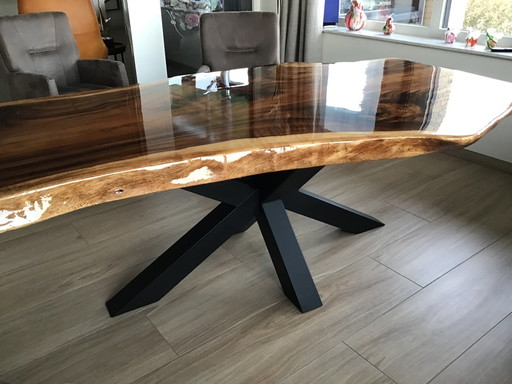 Moderne Boomstam Eettafel