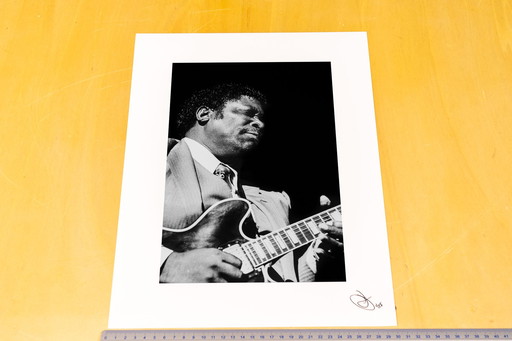 Robbert Frank Hagens - BB King - the king of the blues 1986