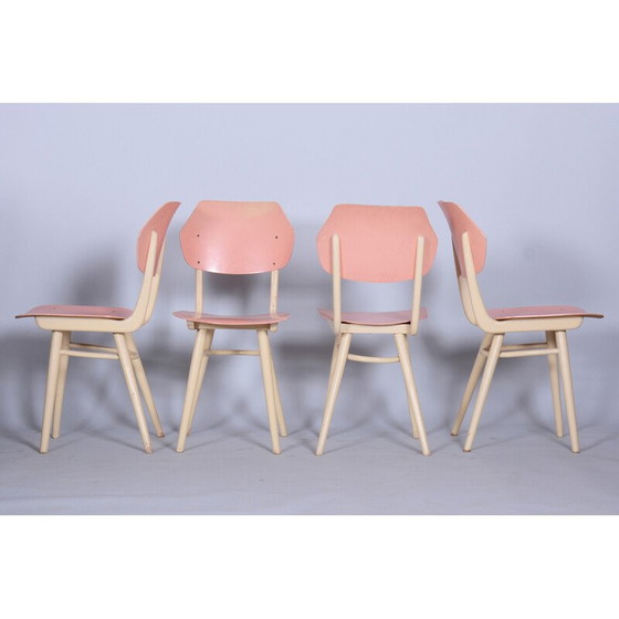 Image 1 of Set van 4 mid-century stoelen in beukenhout van Jitona Sobeslav, Tsjechië 1950