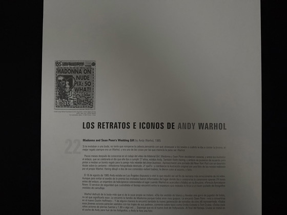 Image 1 of Andy Warhol: “Madonna And Sean Penn'S Wedding Gift, 1985”. ©2007 Andy Warhol Foundation For The Visual Arts, New York. 