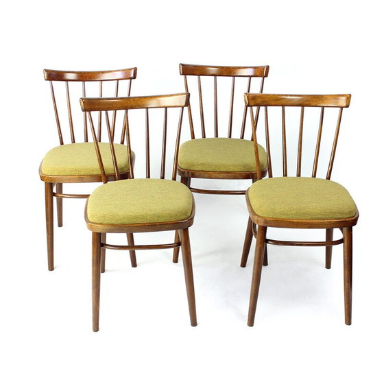 Image 1 of Set van 4 vintage eetkamerstoelen van Tatra, Tsjecho-Slowakije 1960