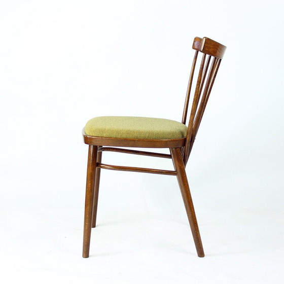 Image 1 of Set van 4 vintage eetkamerstoelen van Tatra, Tsjecho-Slowakije 1960