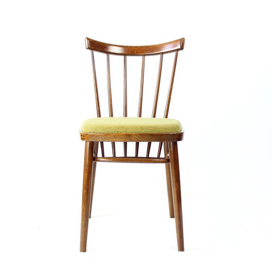 Image 1 of Set van 4 vintage eetkamerstoelen van Tatra, Tsjecho-Slowakije 1960