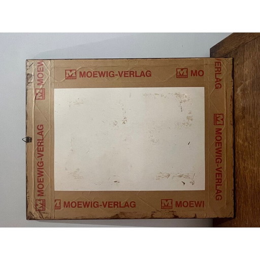 Vintage litho van John en Elizabeth Gould