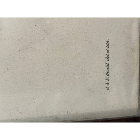 Image 1 of Vintage litho van John en Elizabeth Gould