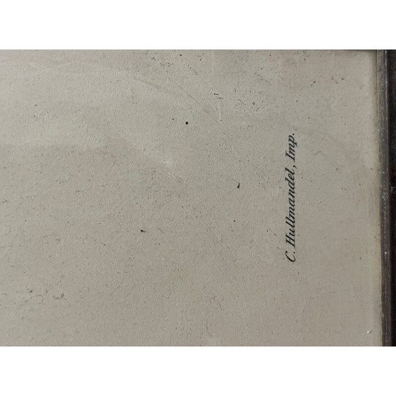 Image 1 of Vintage litho van John en Elizabeth Gould