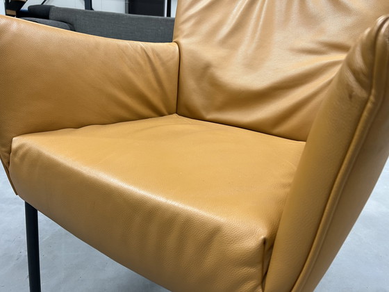 Image 1 of Label Van den Berg Togo fauteuil 