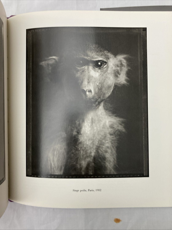 Image 1 of Boek Bettina Rheims Vintage, Editie, Parijs, Audiovisueel, 1987